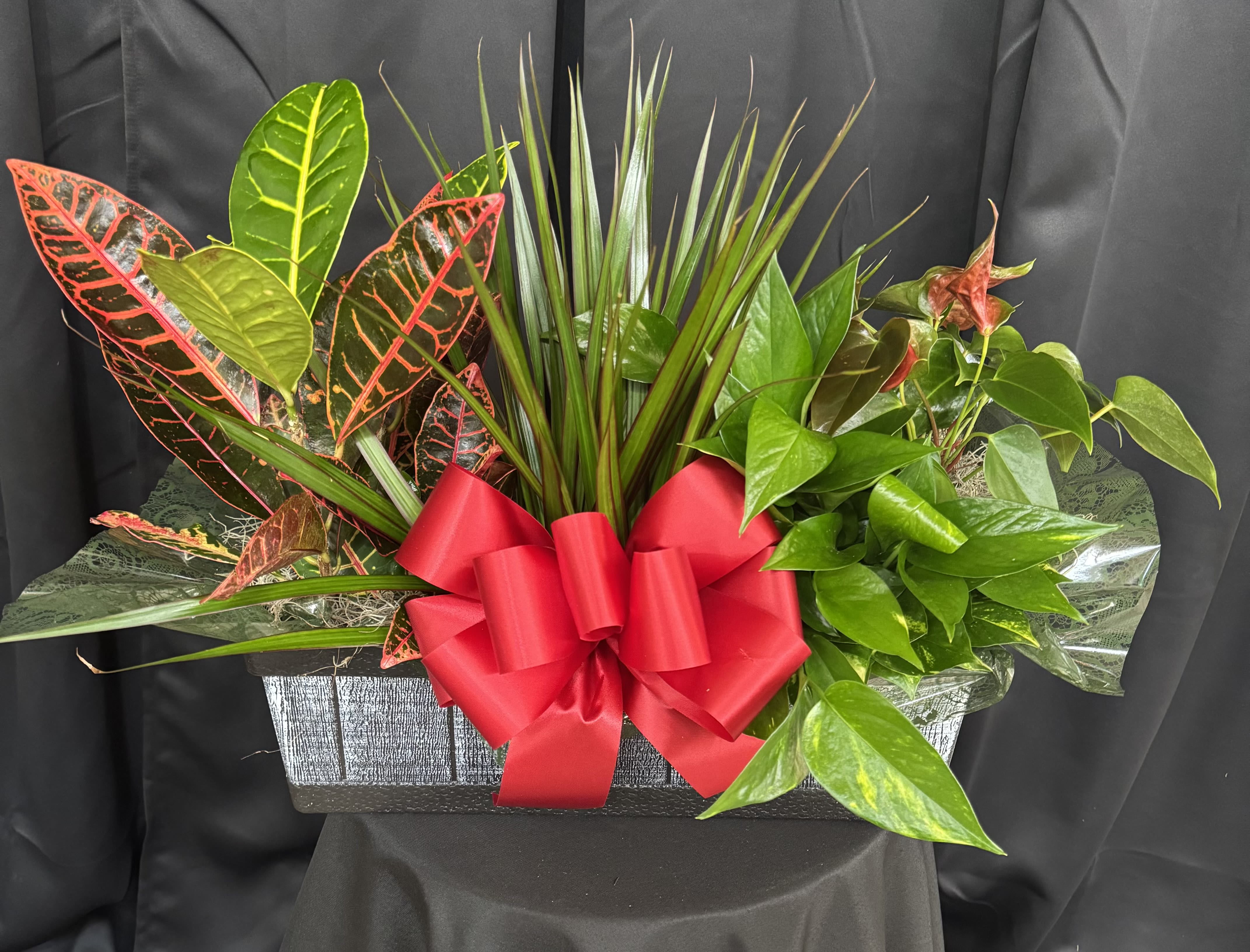 Plant combination - A combination of plants. Container may differ. 