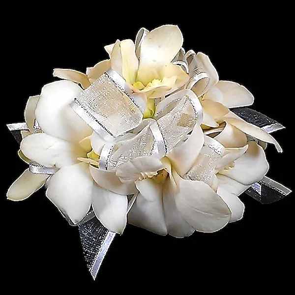 White Dendrobium Orchid Corsage - Elegant white dendrobium orchids with sheer ribbon is the perfect accent to make your evening special. Choose as a pin-on or wrist corsage. NOTE: WRIST CORSAGE BEADED AND CRYSTAL BANDS SOLD SEPARATELY. PLEASE CHOOSE PREFERRED BAND AND ADD TO ORDER. All Boutonnieres and Corsages should be ordered a minimum of 3 - 5 days prior to your event. For needs sooner than that please call the store at 858-454-0146 to ensure availability.  All prices in USD ($)  
