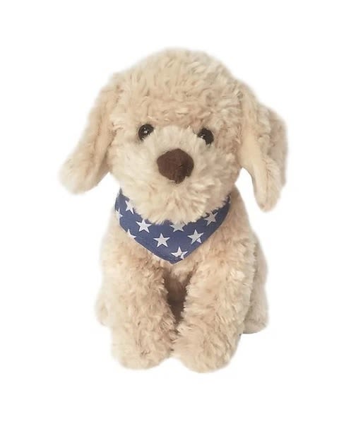Bentley Golden Doodle - Meet Bentley the Golden Doodle! He is sure to put a smile on anyones face!  All prices in USD ($)