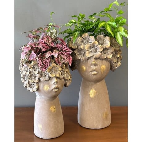 Floral Head Planters - The perfect gift for you or someone you know who needs a smile daily. These floral planter heads are complete with a beautiful plant to add a whimsical touch and oxygen to any room they grace. The Ragazza (girl) planter in tan and gold, or the Donna (woman) in natural concrete are both &quot;Bellissimo!&quot; Our designers will select the best plant available from our daily inventory to complement each container. Plants will vary...but yours and your recipient’s happiness will always be our focus!  Ragazza Planter (Tan &amp; gold) Donna Planter (Concrete)  All prices in USD ($)