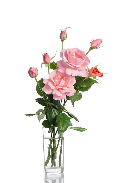 Sweet Rose - Mother's Day Bouquet - Sweet Rose a modern simple bouquet highlighting soft pink roses in a clear glass vase. A perfect Mother's Day Bouquet