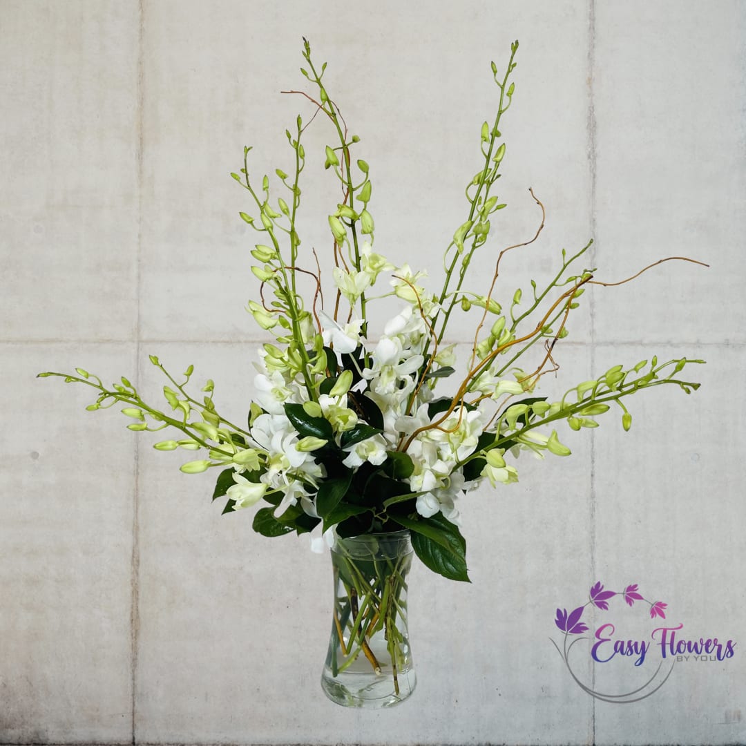 Dendrobium Delight - Discover the Subtle Beauty of White Dendrobium Orchids - Known for symbolizing friendship, love, and joy, dendrobium orchids are among the most stunning and abundant orchid varieties. In this stunning display, we've combined many white dendrobium orchids with bear grass to create a magnificent all-white showcase.