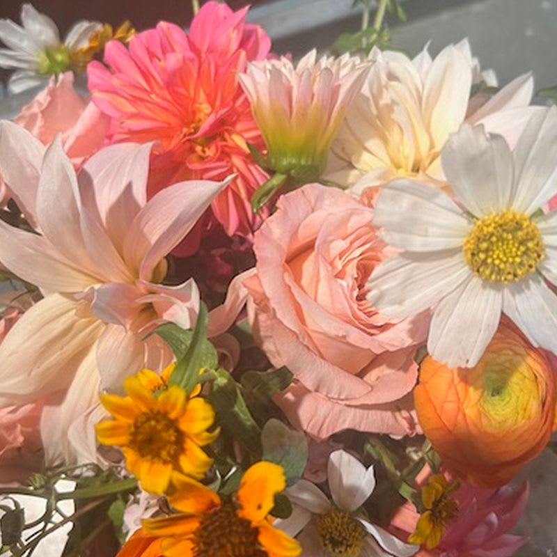 Dahlia Dahlia - Dahlia are the best. This arrangement is wrapped in mesh ( Hand-tied). If you need a vase please choose a vase by going to add product( Standard vase for standard arrangement, Deloux vase for Deloux arrangement, Premium vase for premium arrangement).