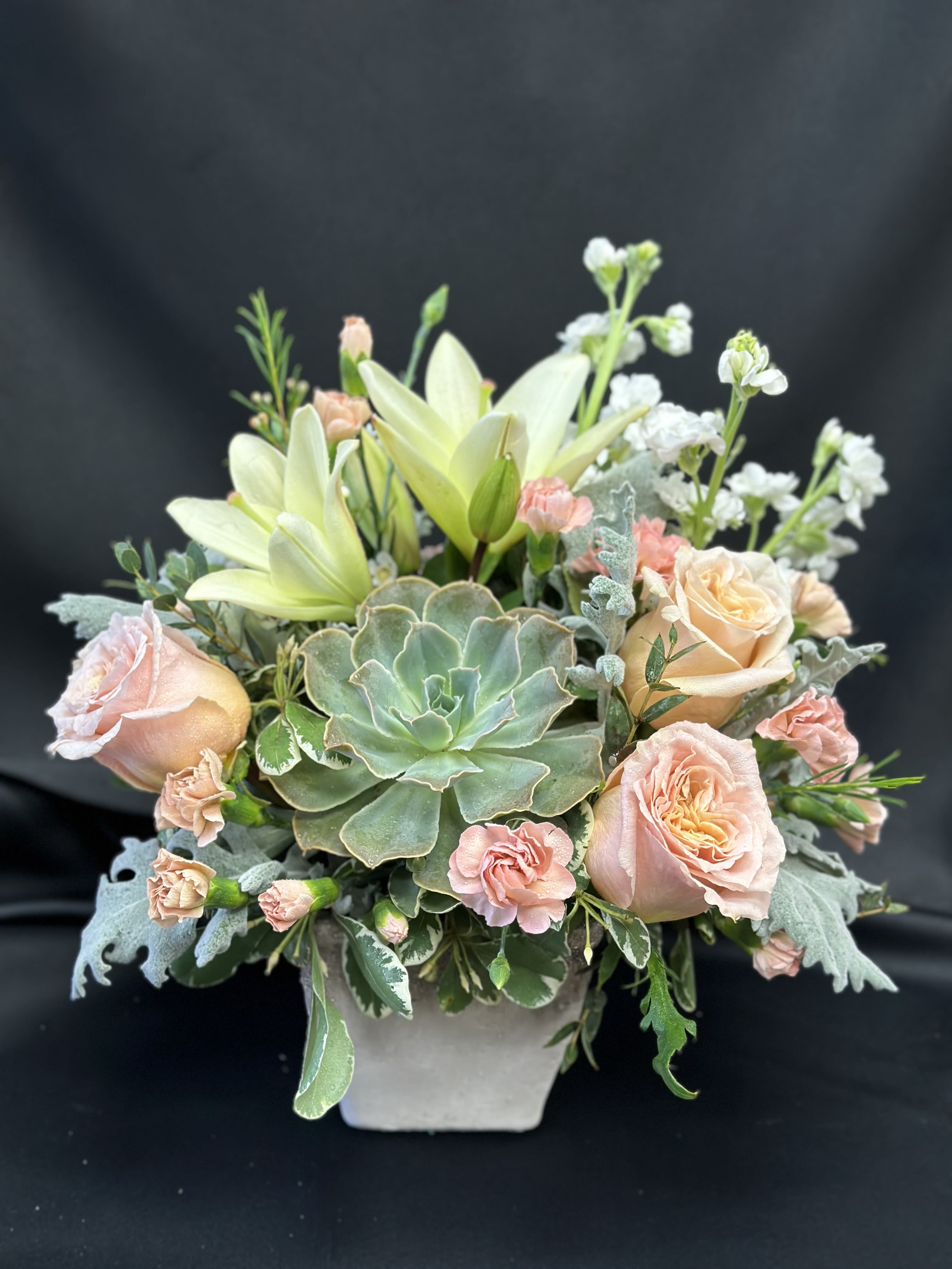 Anza Borrego Sunrise   - Reminiscent of a desert sunrise, this modern mix of peach blooms, white lilies and succulents is a super chic statement in an earthy stone cube. Peach roses, white asiatic lilies, peach miniature carnations, and white stock are accented with pitta negra, dusty miller, and a green echeveria succulent. Orientation: One-Sided Photo is showing the deluxe version of this design - also available in a premium version