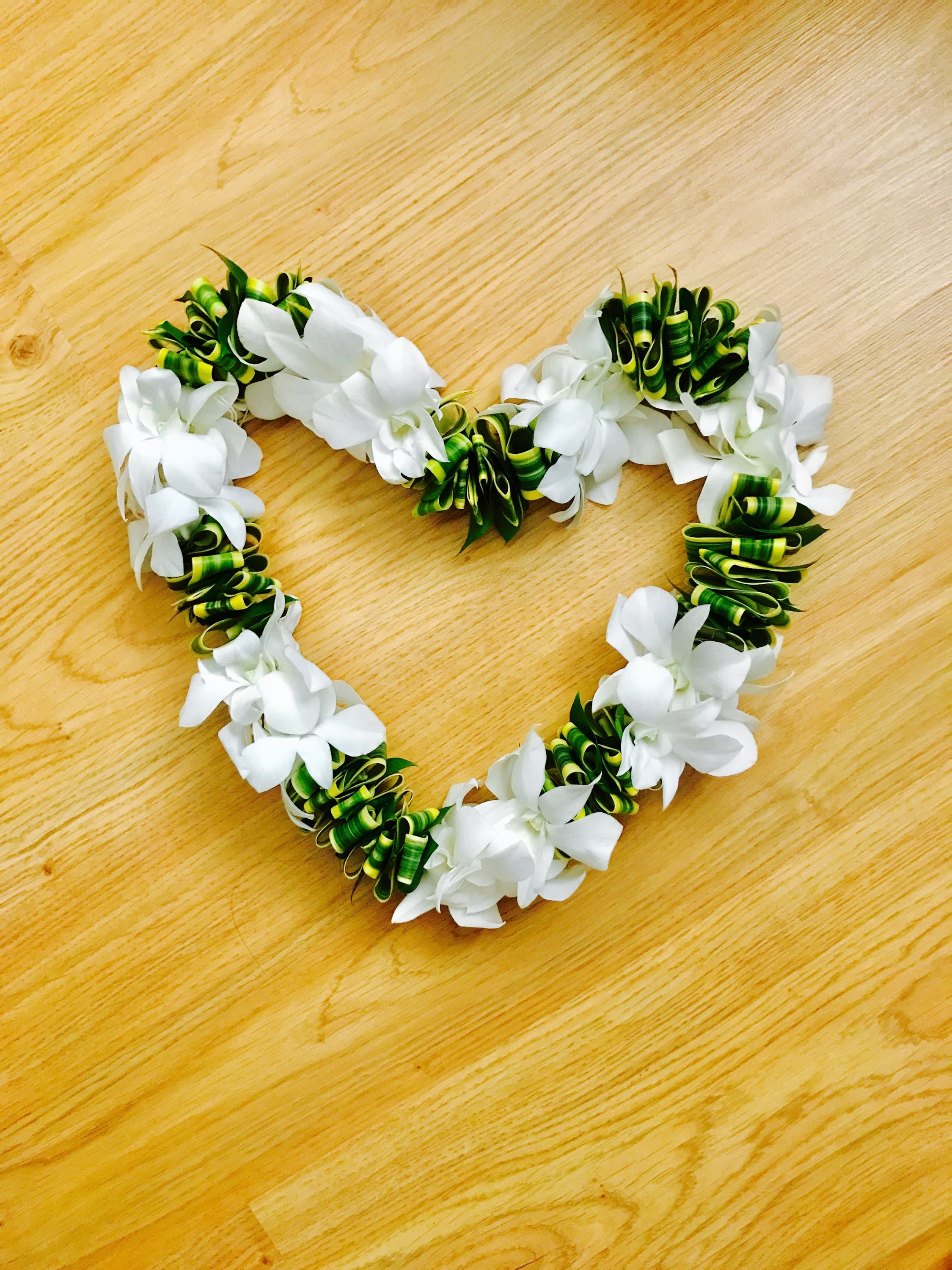 Orchid and Song of India Lei - This white and green lei is perfect for a graduation, wedding or any special occasion. PLEASE ORDER AT LEAST 3 DAYS IN ADVANCE. Thank you! Approximately 38 inches. 