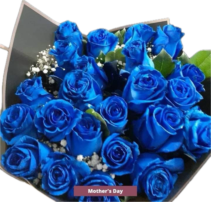 002 Mother’s Day - Blue roses