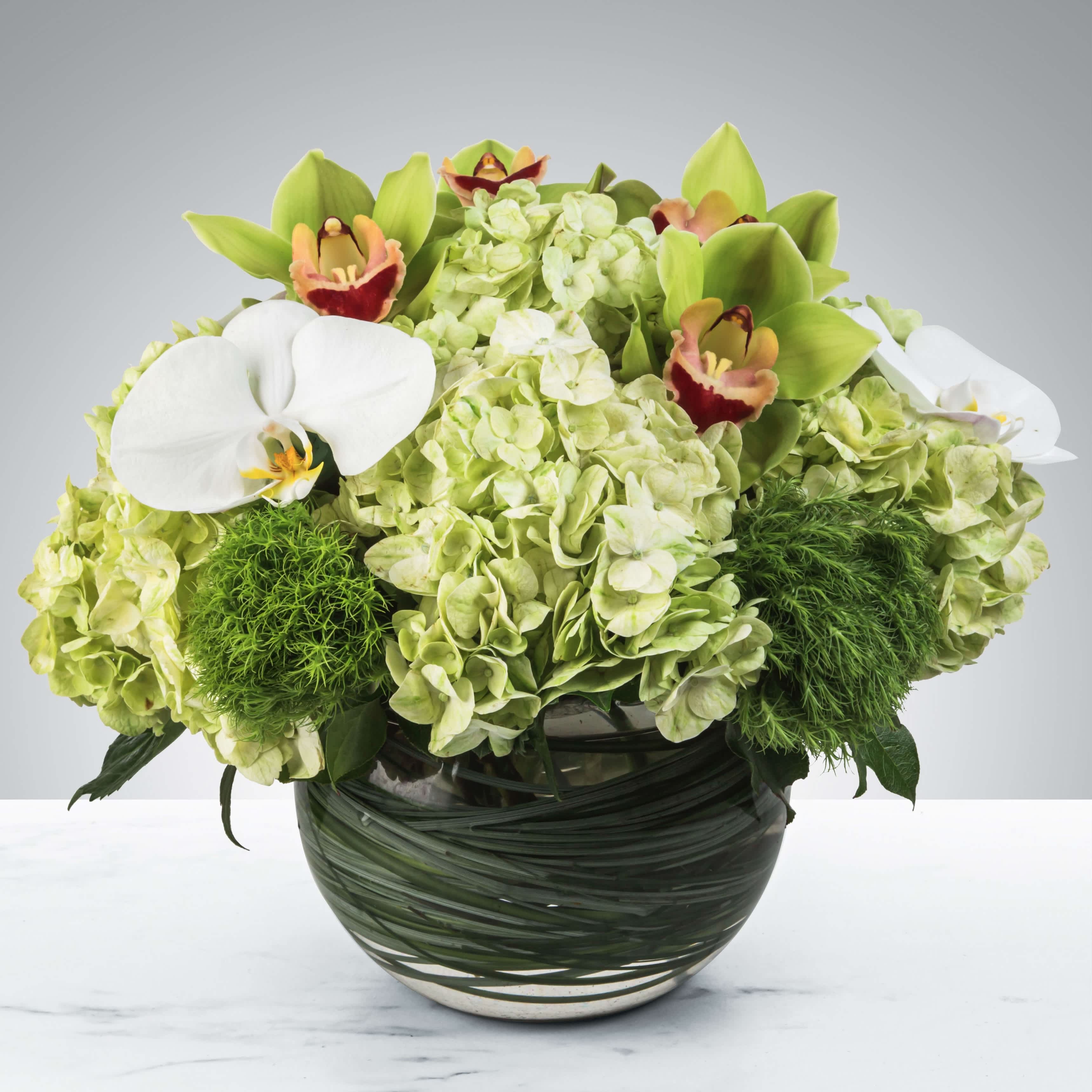 Smiles All Around - Two different types of orchids and hydrangea come together for this bubble of blooms. Send it as a gift for Admin Day, Employee Appreciation Week or Boss's Day.   Approximately 10” D