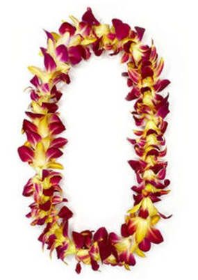 Sunburst Orchid Lei - Handcrafted lei featuring dendrobium orchids strung together, resulting in a final product that is sturdy and stunning.