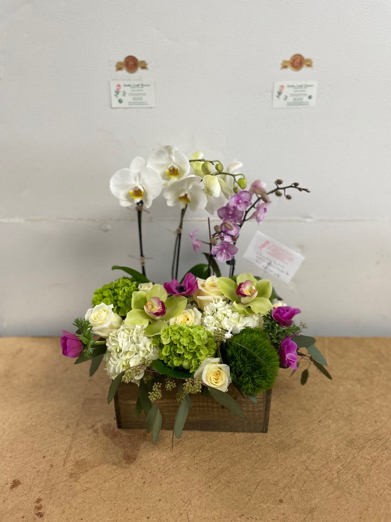 i love to have both options, live orchid plants and a flowers arrangement MEF040822 i love to have both options, live orchid plants and a flowers arrangement MEF040822 - roses, orchid plants , hydrangea,and more