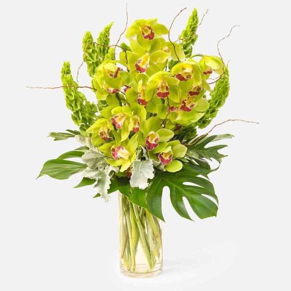 Donatello - Whether you’re a fan of renaissance sculptors or crime-fighting turtles, you’ll be enamored by our Donatello arrangement.
