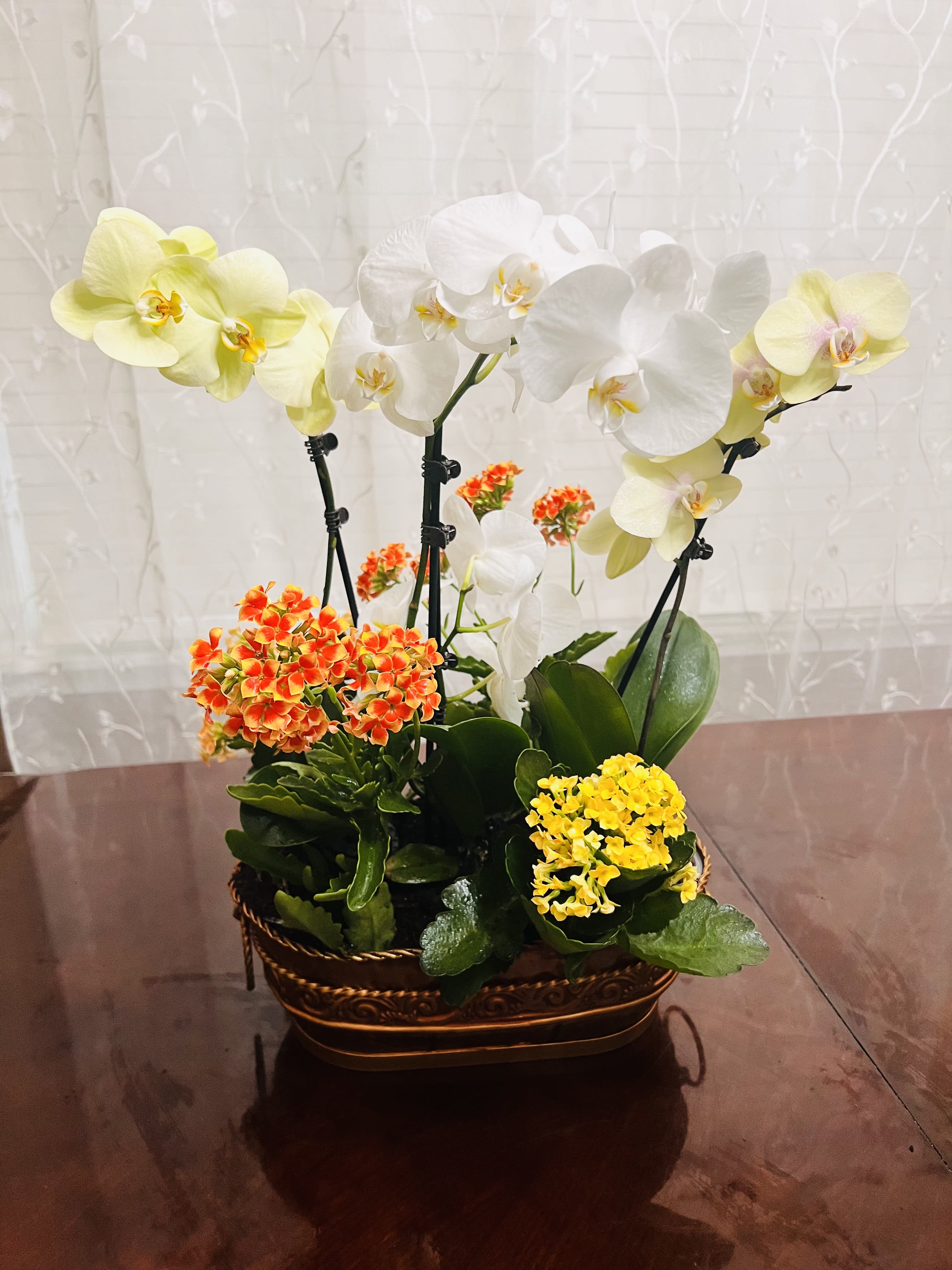 Lovely Fall Orchids Lovely Fall Orchids - Yellow and white Orchids in the fall; vase or container may varies depending on availability.