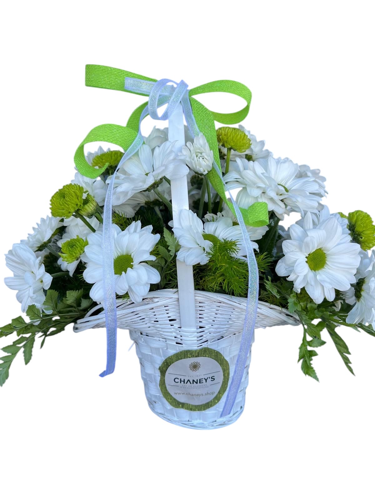 Chaney‘s Bicolor Design 1002 - Simply Green and White designed in a cute little white basket. Great gift for any occasion!