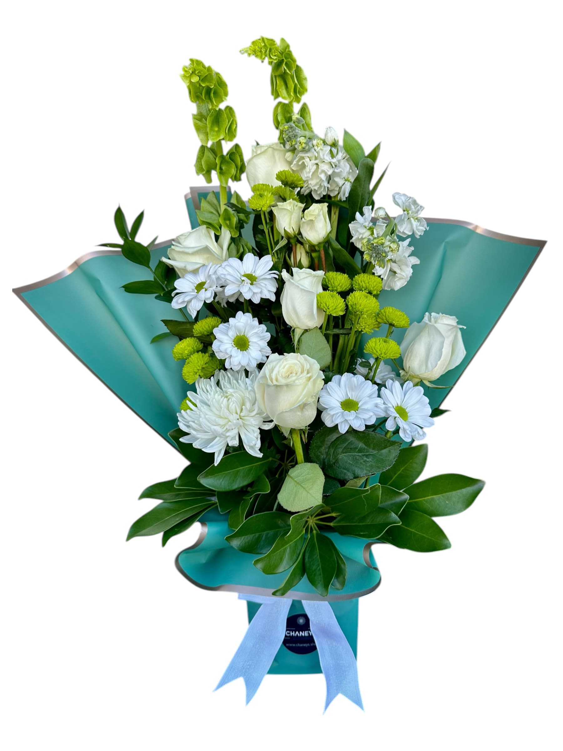 Chaney‘s Bicolor Design 1003 Chaney‘s Bicolor Design 1003 - Simply Green and White Wrap. Designed with Bells of Ireland to ultimate perfection!