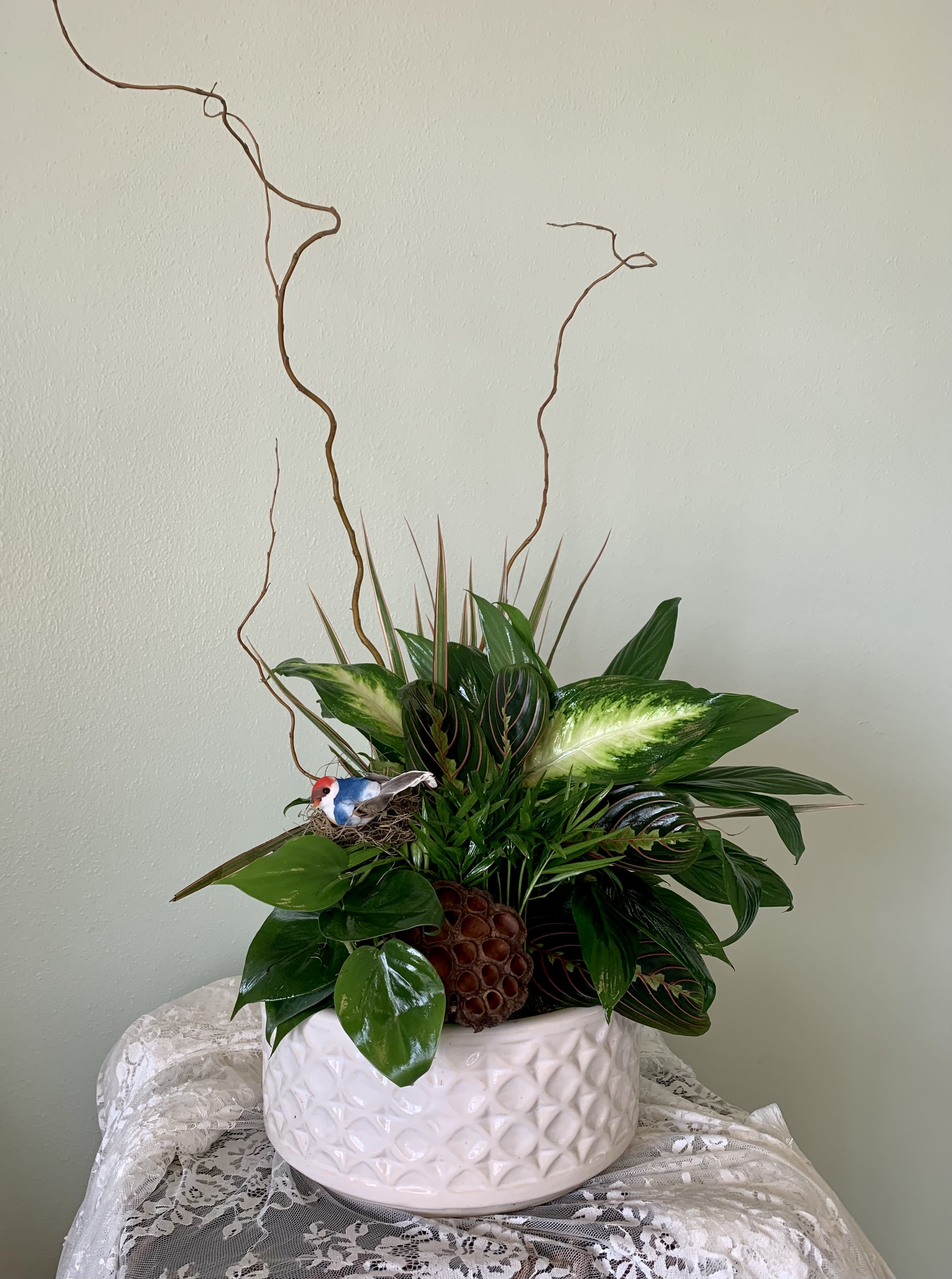 Dish Garden (color of ceramic will vary) - A beautiful garden with a variety of plants to bring warm wishes for a long time. Fully dressed for whatever occasion you are looking for.   *Plants included may vary &amp; are for indoor display only.*
