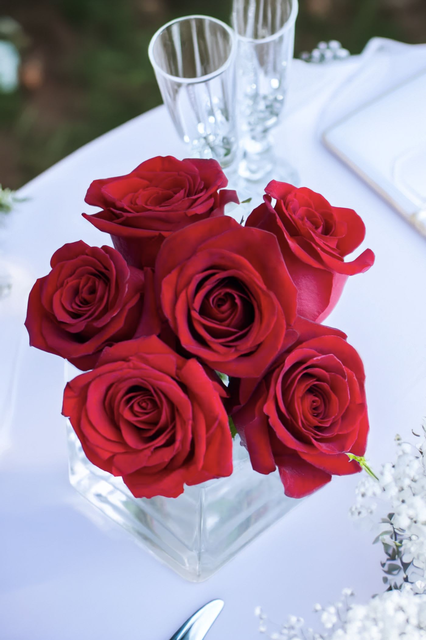 small cube 1/2 dozen red roses small cube 1/2 dozen red roses - Make a bold and unforgettable statement with this luxurious red rose floral arrangement, expertly handcrafted to convey love, passion, and timeless beauty. Featuring lush, velvety red roses paired with rich greenery and soft accent blooms, this stunning bouquet is ideal for romantic gestures, anniversaries, Valentine's Day, or simply expressing deep admiration. Arranged in a sleek, modern vase, it adds elegance and sophistication to any space. Whether you're surprising a loved one or elevating your décor, this premium red rose arrangement delivers fresh, vibrant blooms with a dramatic flair. Order fresh red rose flower delivery today and share a meaningful, heartfelt gift that speaks volumes.