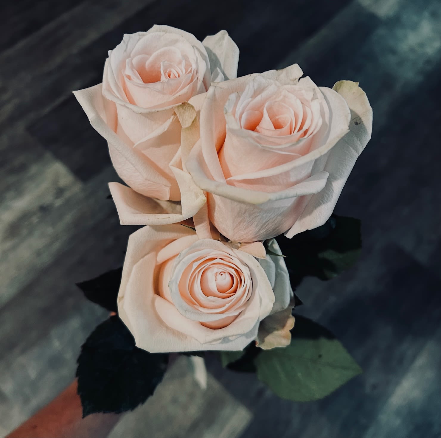 3 Tied Roses - 3 fresh cut roses of your color choice, delicately prepared and arranged in an elegant sequence and tied with a ribbon of the designer's choice.