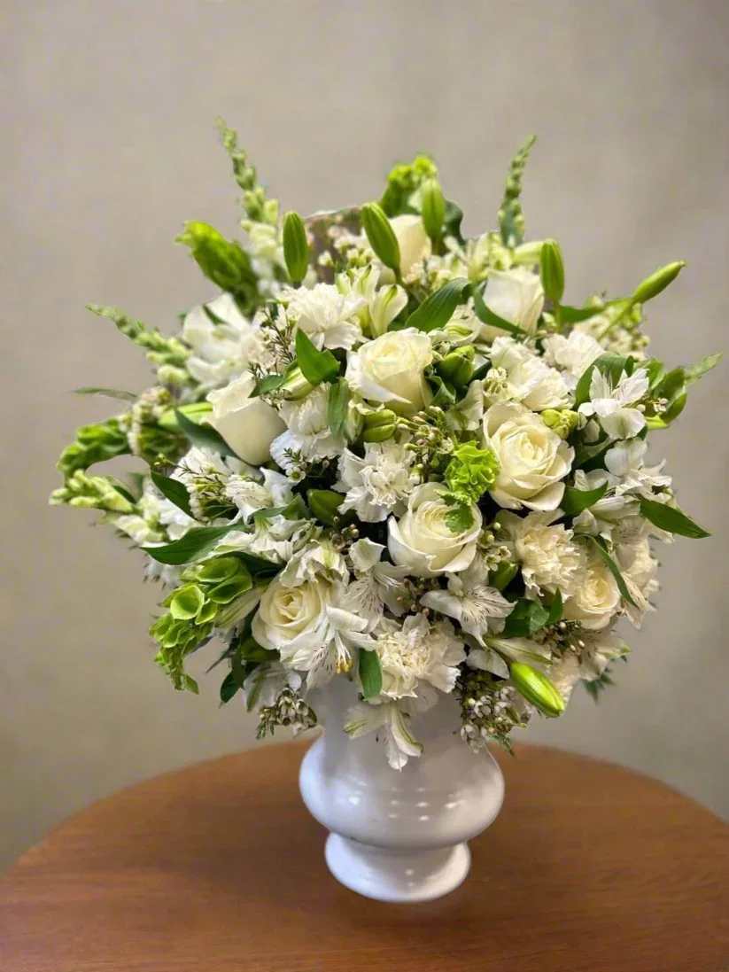 Angelic White Urn - White roses, lilies, snap dragons and carnations with bells of Ireland and alstromeria arranged in a white urn style plastic container. Custom script can be requested in the notes if desired  **When crafting floral arrangements, we aim to replicate the image as closely as possible. Remember, each design is one-of-a-kind and tailored specifically for you. Given the characteristics of flowers, some color adjustments may be necessary. Additionally, the prices and availability of seasonal blooms can vary