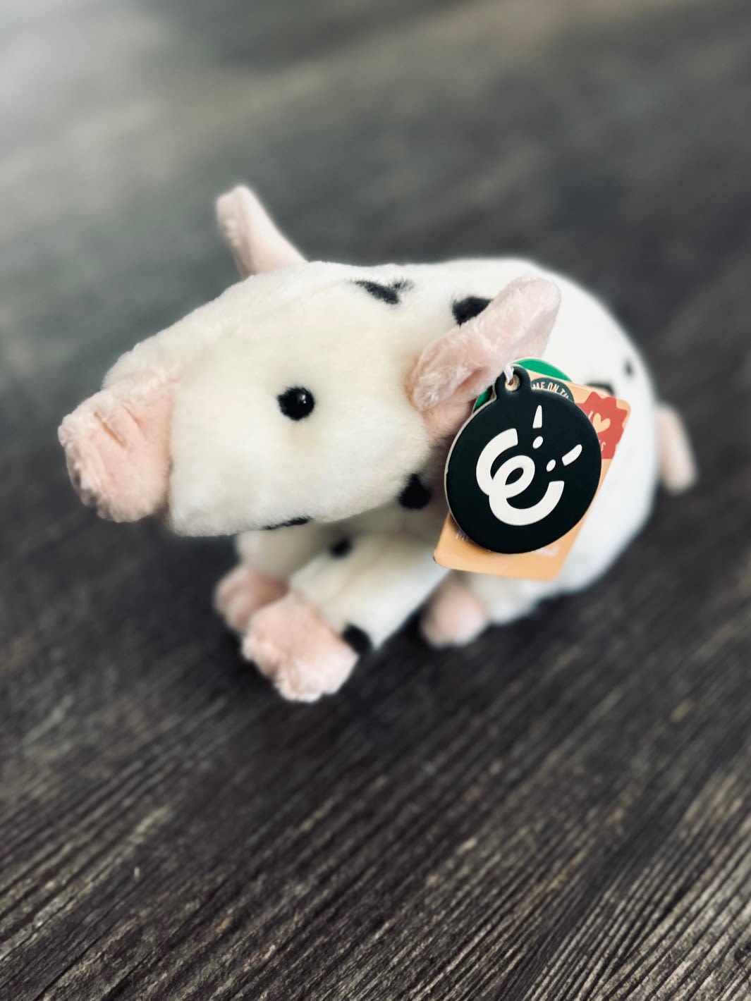 Piglet Plush Piglet Plush - Such a cute piglet! Super soft and perfect for those pig lovers or that special person who needs a smile! Pairs perfectly with any floral design or chocolate bar! Measures 8 x 4 x 5 in