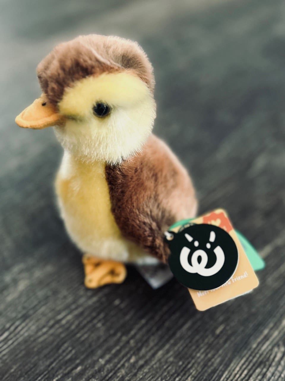 Plush Mallard Duckling Plush Mallard Duckling - This sweet baby is so soft and pairs perfectly with any floral design or even a chocolate bar or care package! Measures 3.5 x 3.5 x 6 in