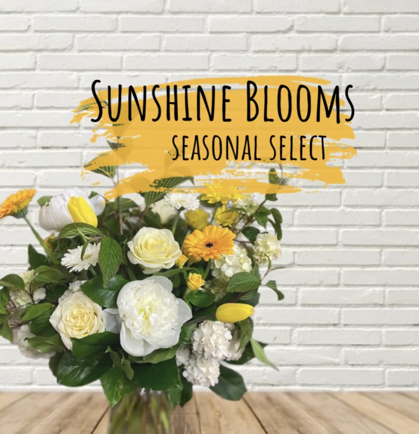 Sunshine Blooms Designer Select Sunshine Blooms Designer Select - A stunning bright bloom mix of yellows, light yellows, & whites in a vase! A seasonal mix, picture is stock and changes with availability.