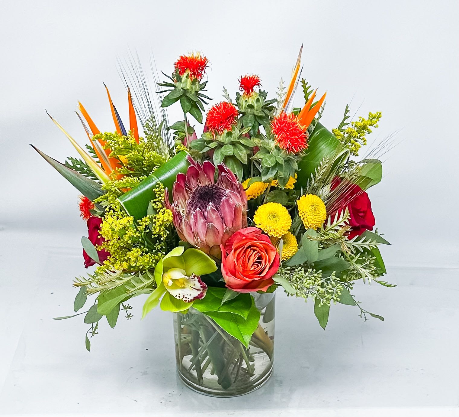 Spring Tropical - Mix of tropical flowers 
