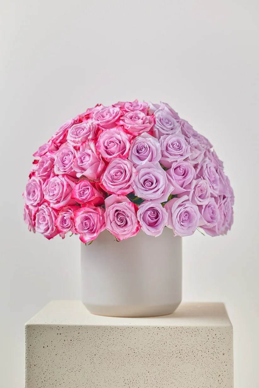 Harley Quinn (Large) Harley Quinn (Large) - Two color rose ball. Can be made in any color combo or single color. Choice are pink, white, purple, yellow. Orange & red Picture shown is two shades of purple