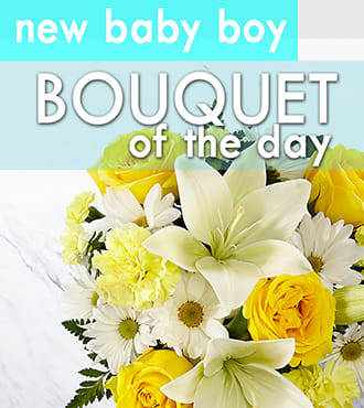 Its a Boy - Bouquet of the Day Its a Boy - Bouquet of the Day - Welcome New Baby Boy and brighten your friend or loved one's hospital stay. with our selected arrangement of the day in a vase. A great choice for sending your "get well" wishes. Our colorful arranged bouquet of the day will truly bring the sunshine to your recipients bedside.