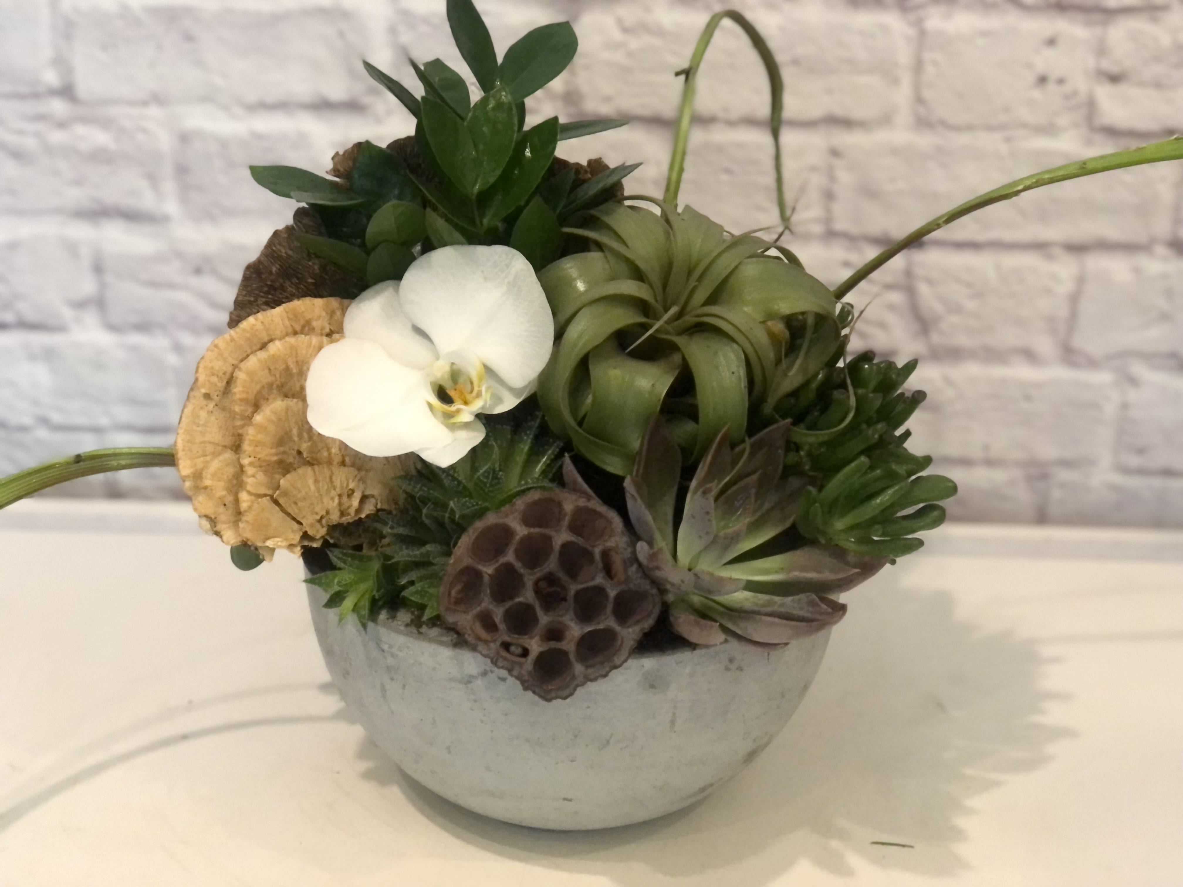 Succulent & Air Planr Texture Garden Succulent & Air Planr Texture Garden - This overflowing succulent garden is elevated design at play! A large xerographica airplant is nestled among beautiful succulents and preserved elements like poppy pods. Topped off with delicate orchid blooms. A truly stunning gift! Perfect flowers for birthdays, "get well soon," new baby, sympathy, congratulations, romantic gestures, and "Thank you." Available for delivery in Seattle, Bellevue, Shoreline, and surrounding areas. Available for delivery in all neighborhoods in Seattle including Magnolia, Ballard, Fremont, Downtown, Queen Anne, Crown Hill, U District, West Seattle, International District, Capitol Hill, Pioneer Square, Beacon Hill, Columbia City, Georgetown, etc.
