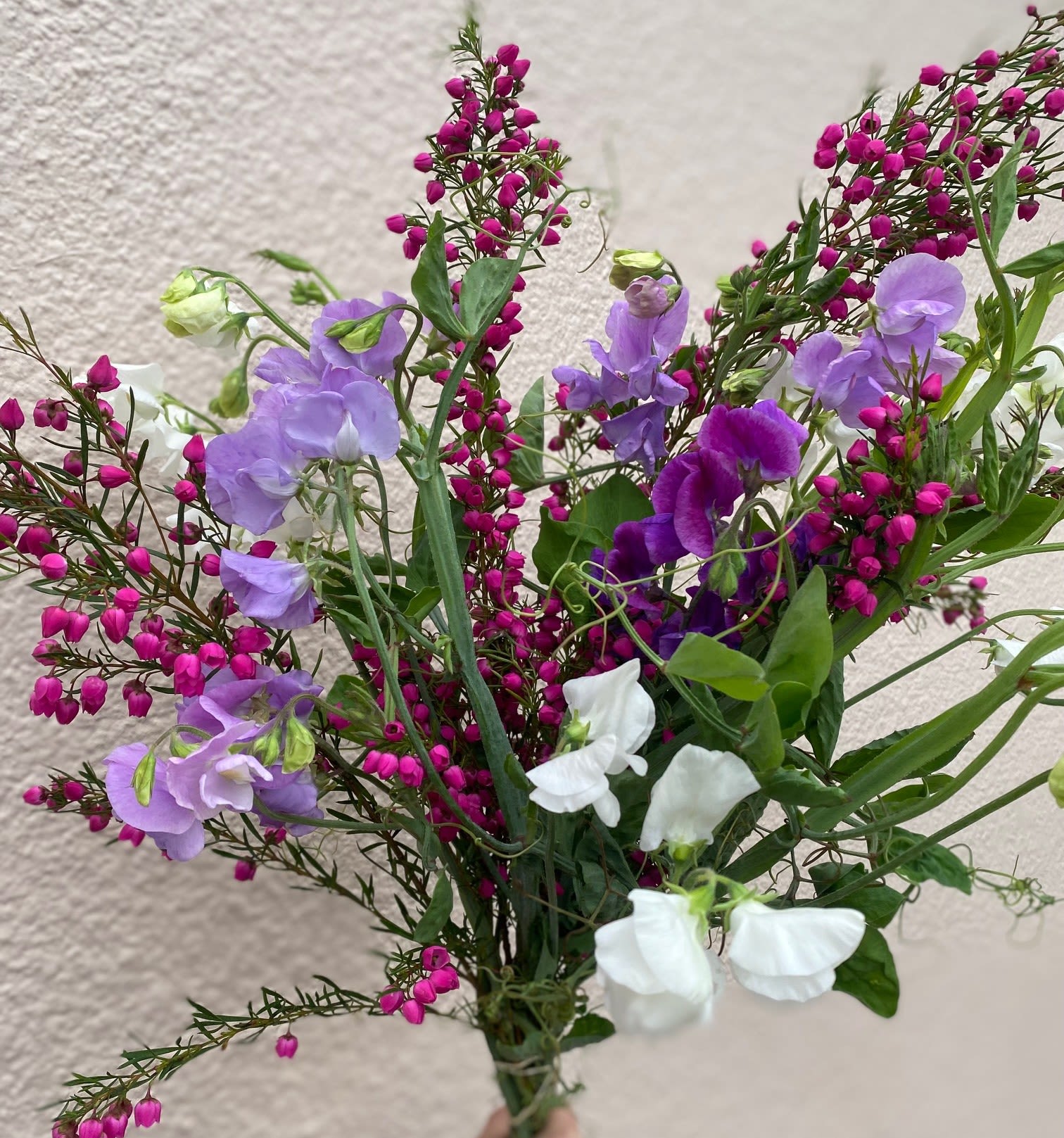 Whimsey blooms - Sweet peas mixed with seasonal flowers  wrapped in mesh. This is a hand-tied bouquet. If you would like a vase please go to add product and choose standard vase for standard arrangement, deluxe vase for deluxe arrangement and premium vase for premium arrangement.