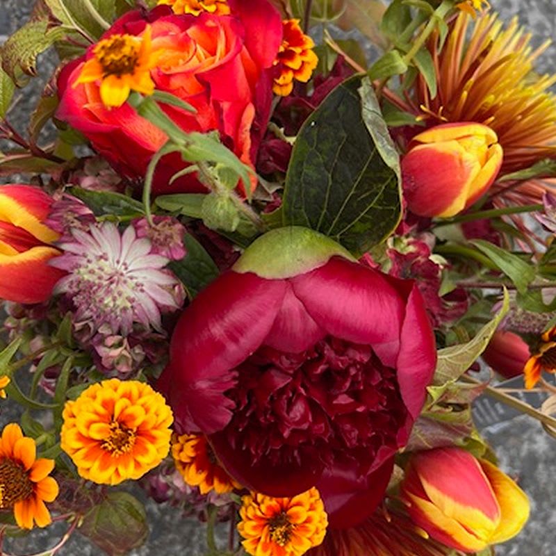 Peony  - Peony going informal  wrapped in mesh. This is a hand-tied bouquet. If you would like a vase please go to add product and choose standard vase for standard arrangement, deluxe vase for deluxe arrangement and premium vase for premium arrangement.
