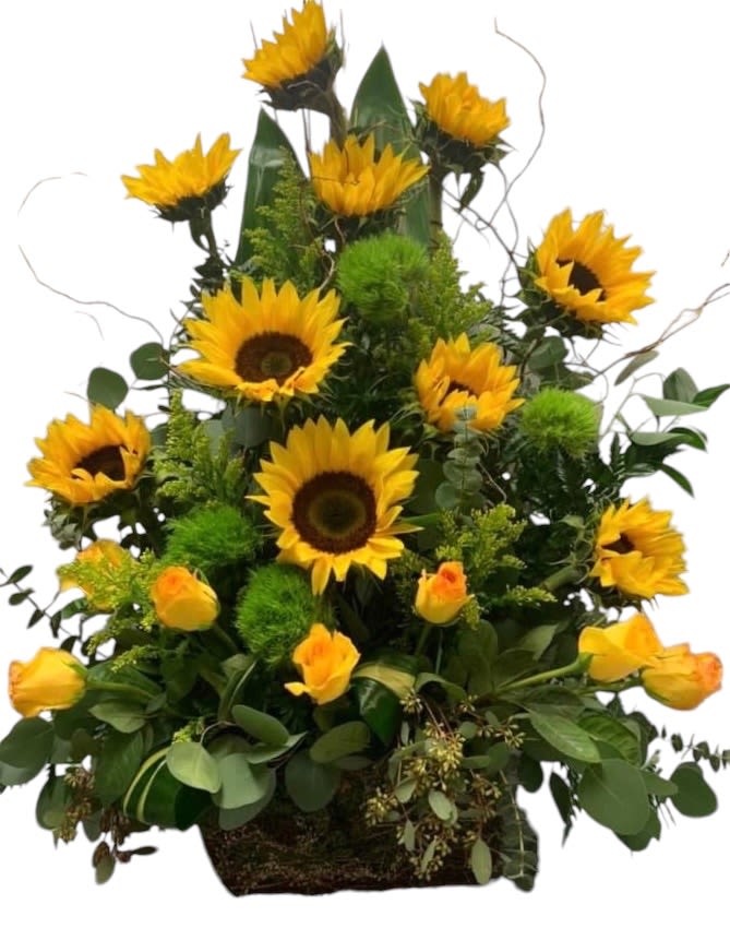 Sunshine Basket - A perfect arrangement to illuminate someone's day. Perfect for birthdays, newborns, newlyweds, get well, or any occasions. The basket includes sunflowers, yellow roses, eucalyptus, green balls, and more greenery. 