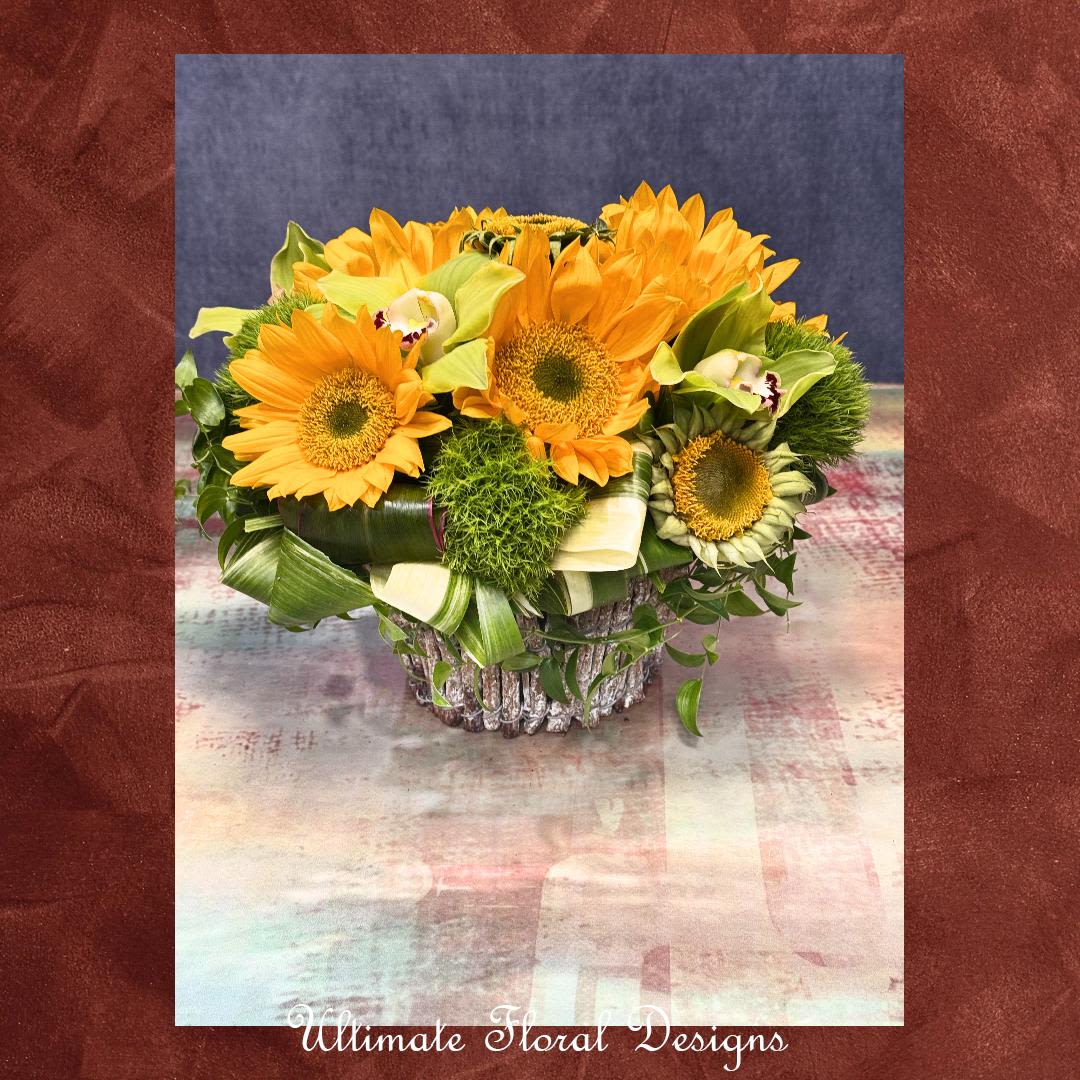 Sunlit Harmony - A modern twist on nature’s brightest blooms, Sunlit Harmony is a lush mix of vibrant sunflowers, green trick dianthus, and exotic cymbidium orchids—thoughtfully arranged in a textured designer vase. This cheerful and contemporary piece is ideal for birthdays, celebrations, or simply sending sunshine.  Expertly crafted by Ultimate Floral Designs, your premier local florist in Great Falls, VA, offering luxury floral arrangements for every occasion.   Now delivering across Northern Virginia, Washington D.C., and Maryland  Call (703) 759-5001 or shop online at UltimateFloralDesigns.com