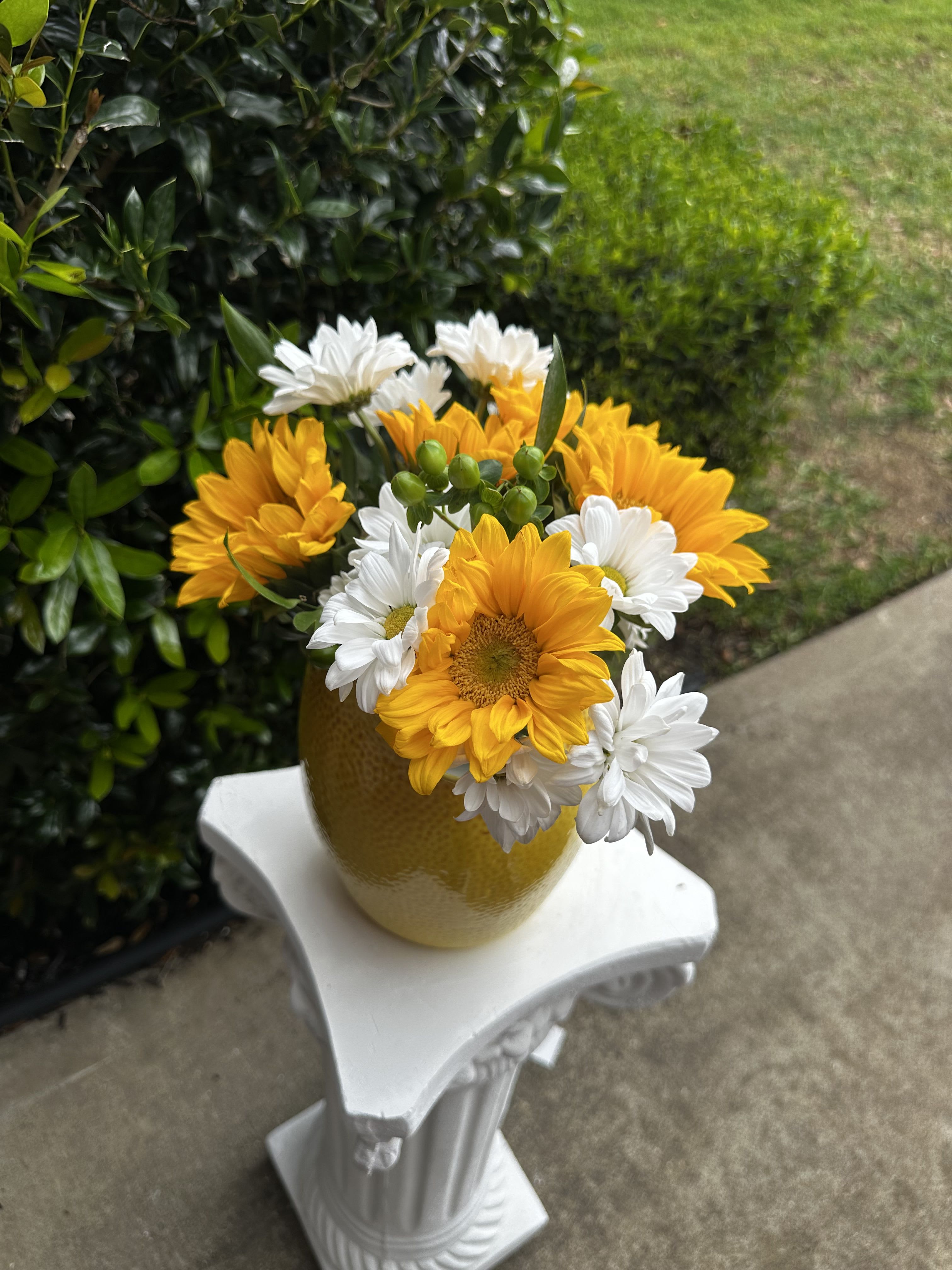 Sunny days  - Pitcher full of Sunshine