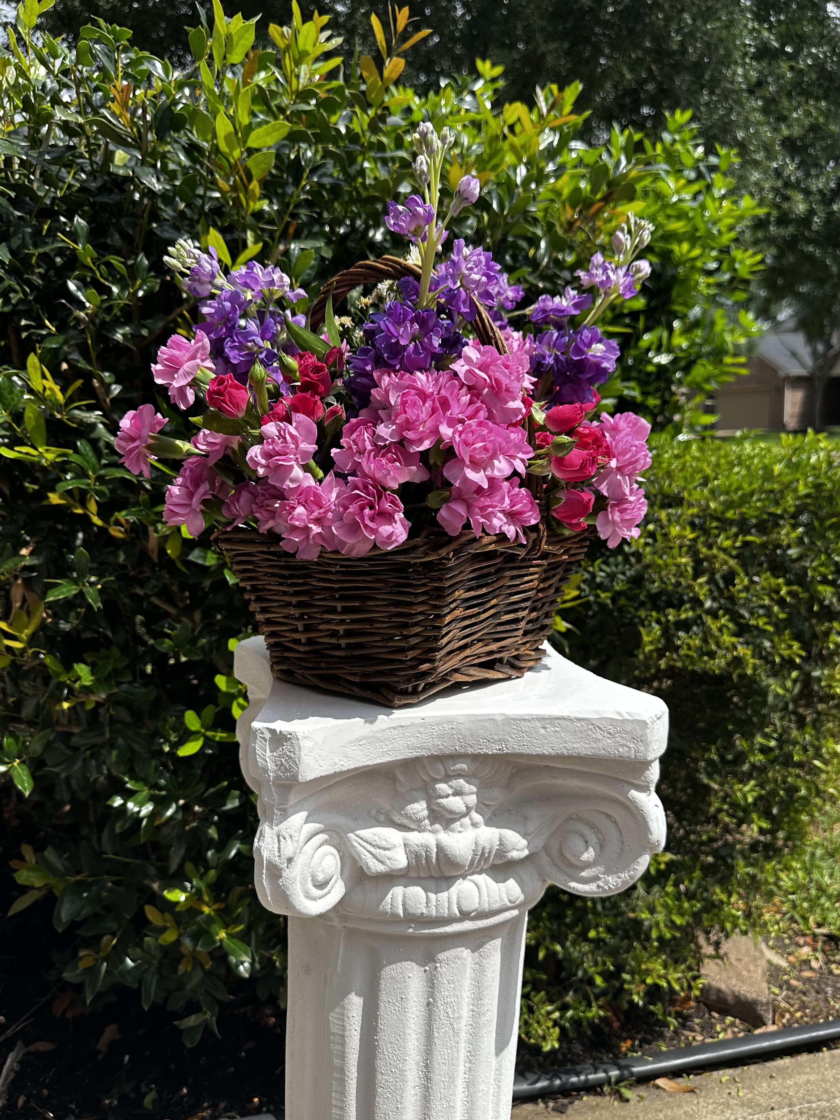Basket in bloom - Basket in bloom