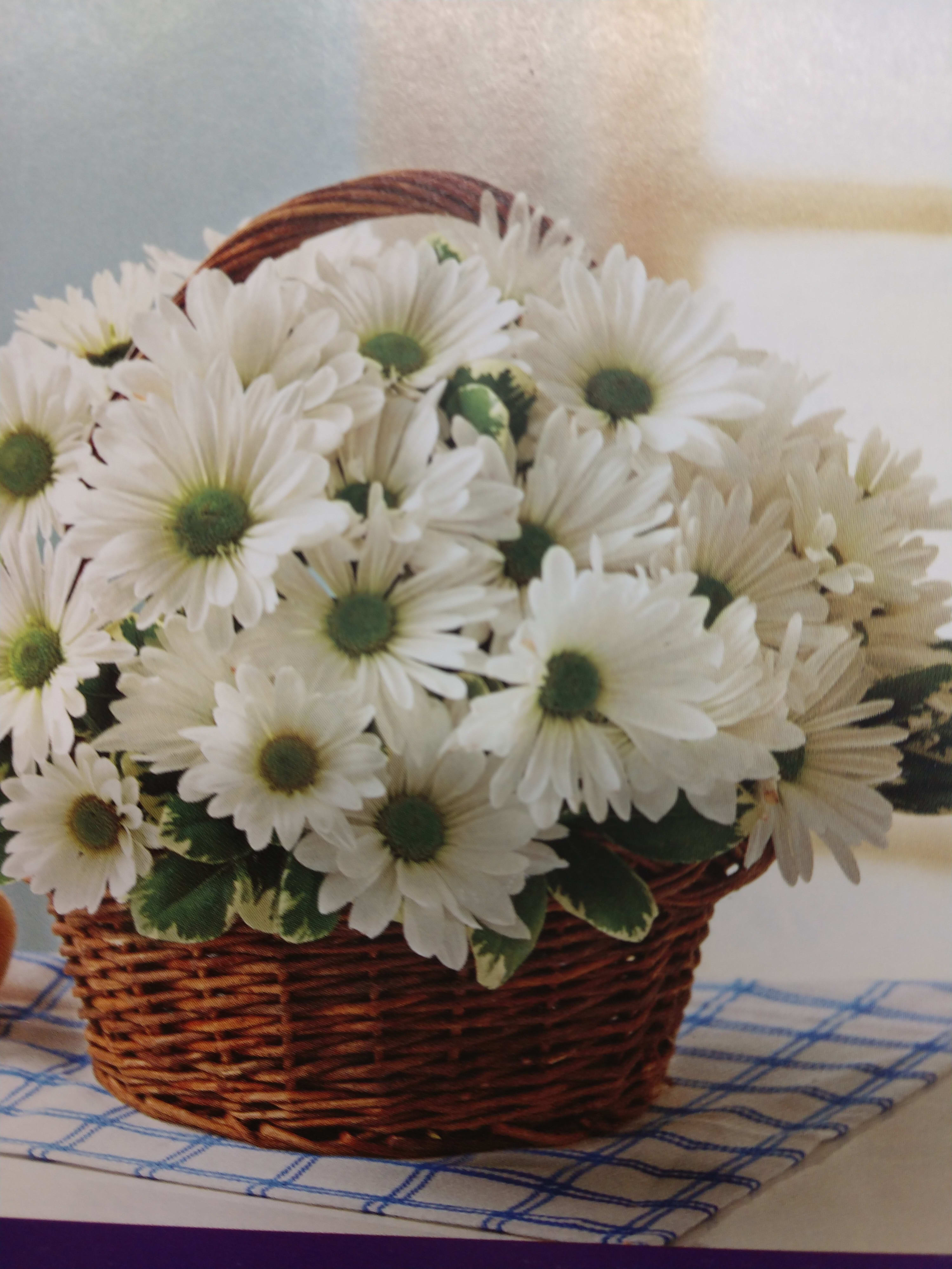 HAPPY MOTHER WITH DAISIES HAPPY MOTHER WITH DAISIES - White daisies AND WHITE CARNATION IN A brown basket with greenery