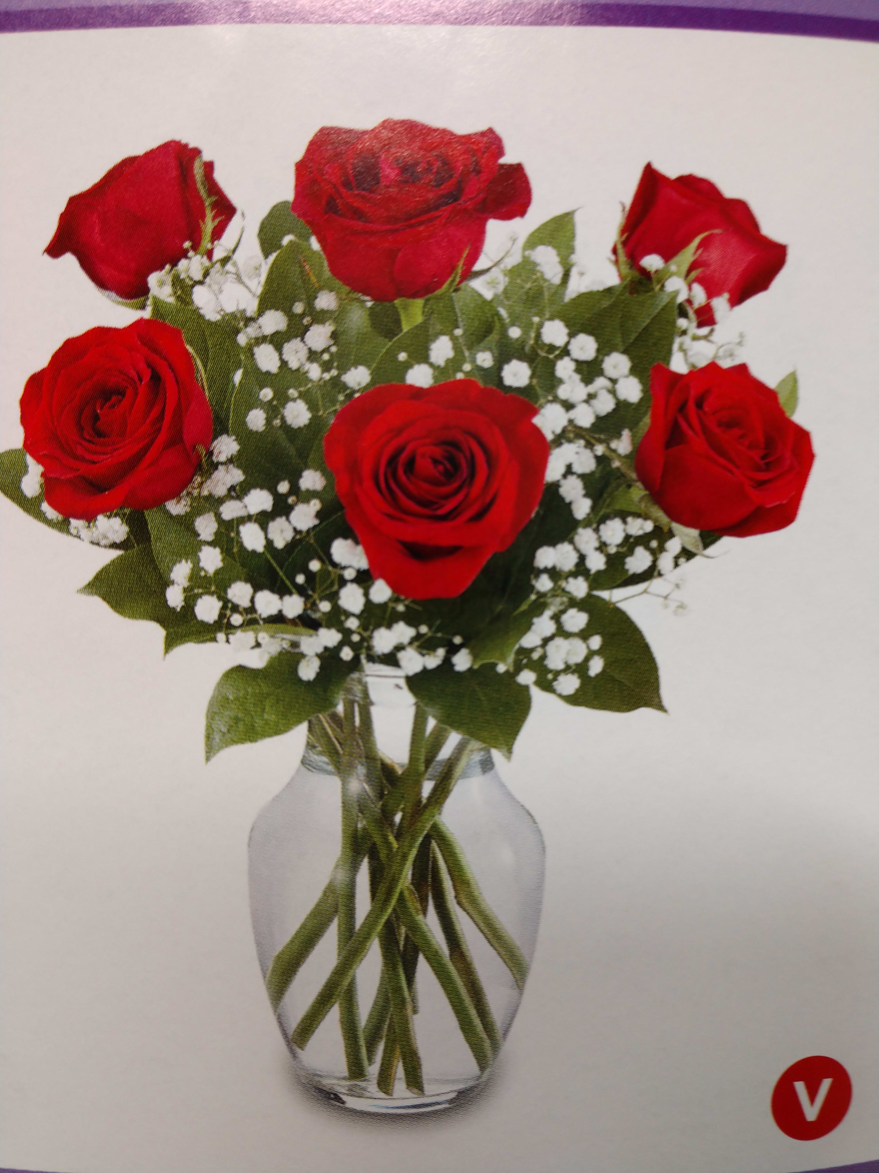 Love's Embrace Roses 6 Love's Embrace Roses 6 - 6 roses with baby breath in a vase