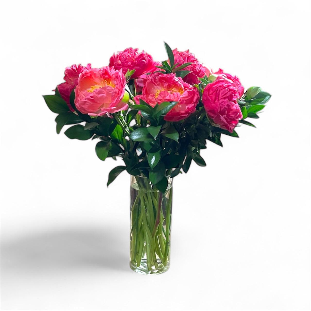 Coral Blooms - This beautiful arrangement is made up of coral peonies and israeli ruscus in a tall glass vase. 