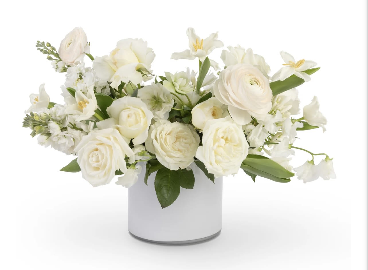 Sassi whites Sassi whites - Flowing with energy whites are in