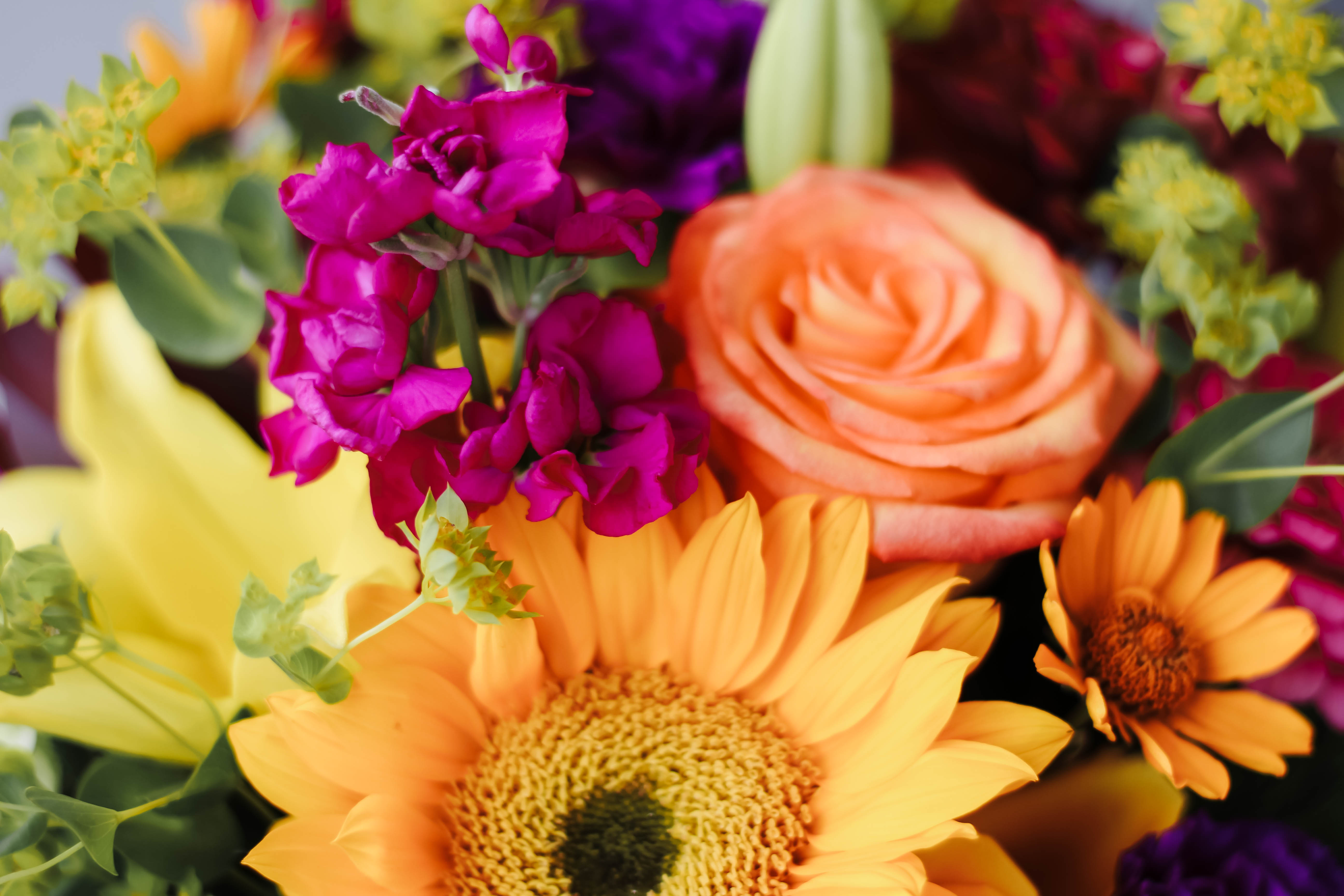 Designer's Choice Designer's Choice - A Designer's Choice arrangement of our most beautiful,seasonal blooms of the day.