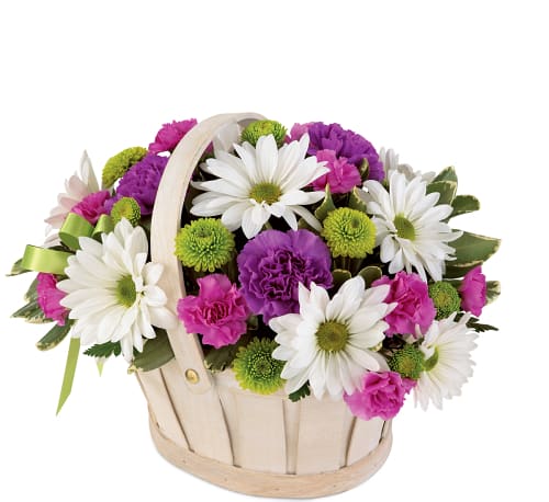 Blooming Bounty Bouquet Blooming Bounty Bouquet - This pretty basket is sure to cheer up anyone's day. This white-wash handled basket is filled with green button pompons, white daisy pompons, hot pink mini carnations and purple carnations. A lavender ribbon bow completes your best wishes.