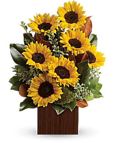 Sunflower Happiness Sunflower Happiness - You will be golden when you show her she’s golden with this sunny bouquet. Nothing says summer like sunflowers and will brighten any occasion. Container may vary slightly.