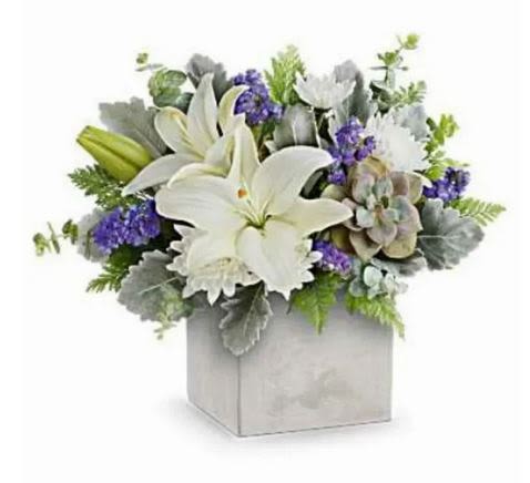 Modern Paradise Bouquet - Bouquet features white Asiatic lilies, white chrysanthemums, blue statice, dusty miller, eucalyptus, leatherleaf fern, and an echeveria succulent.   Great arrangement to get your loved ones for Mother's Day 
