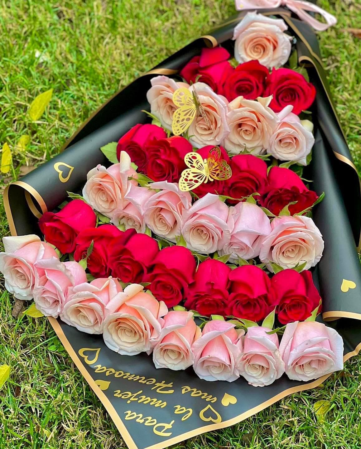 Bouquet of 36 roses Bouquet of 36 roses - Ramo de 36 rosas en color rojo y rosado. Bouquet of 36 roses color red and pink