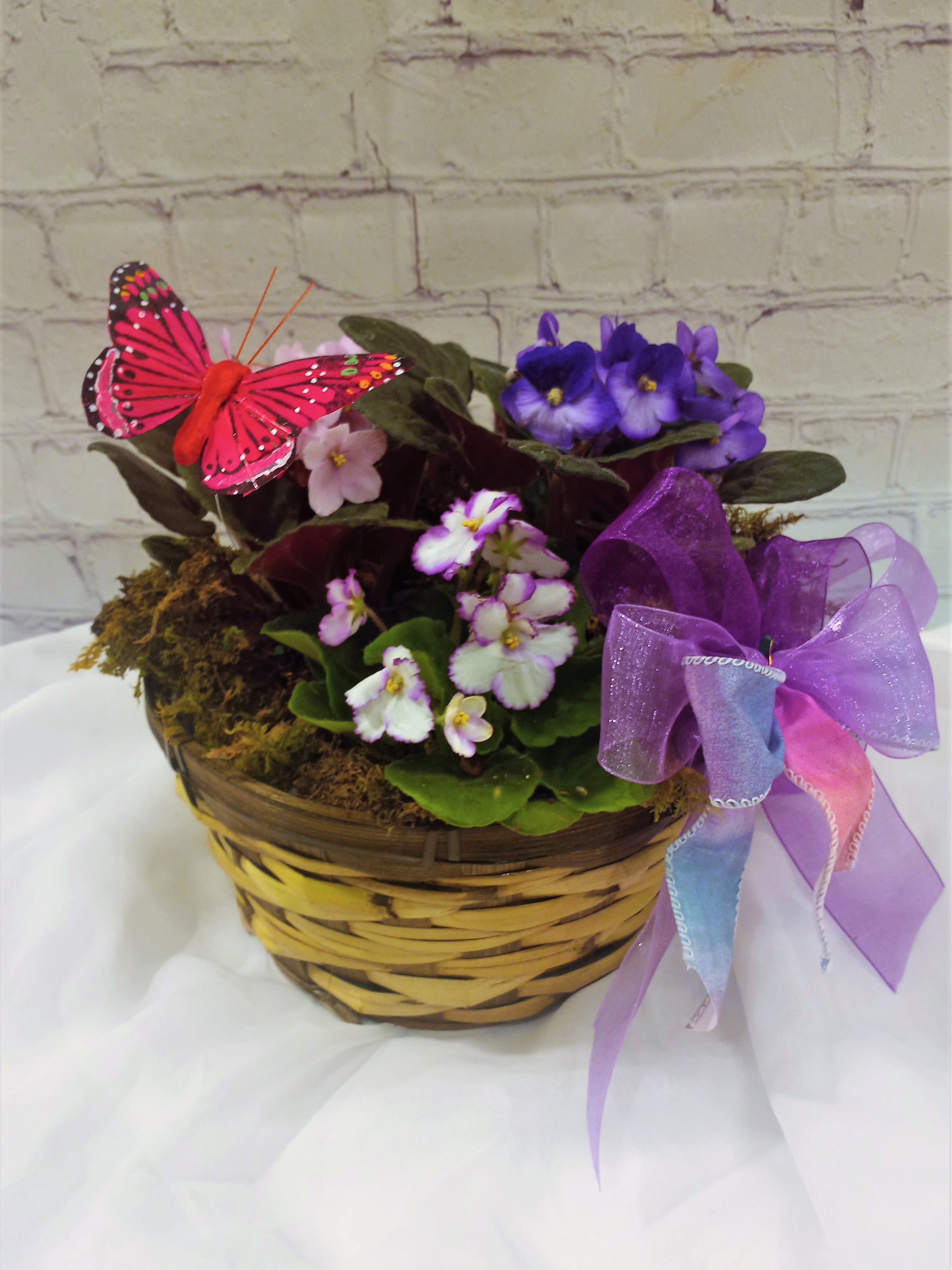 Violet Garden - Easy care violets that will bloom many times over.  Cute butterfly and bow added.   Violet colors may vary due to supply on hand.  10&quot; basket 