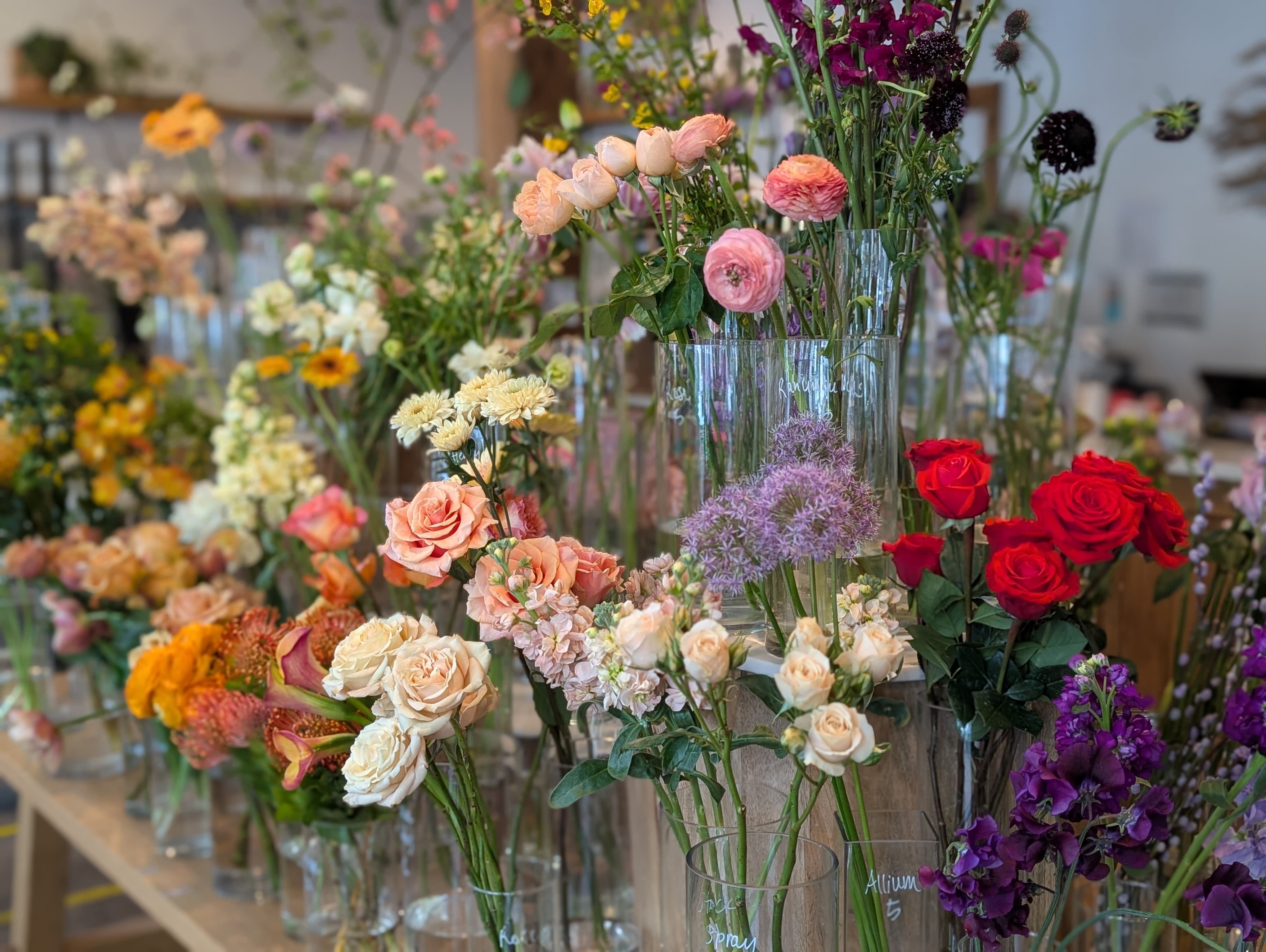 Designer's Choice  - Low &amp; Lush - Let us get creative and put something unique together just for you! Designer's choice allows us to use the freshest, in-season blooms. Please list any preferences in the special instructions upon check out and we will do our best to accommodate you.   NOTE: COLOR PALATE AND FLOWER CHOICES WILL VARY WITH THE SEASON AND AVAILABILITY. 
