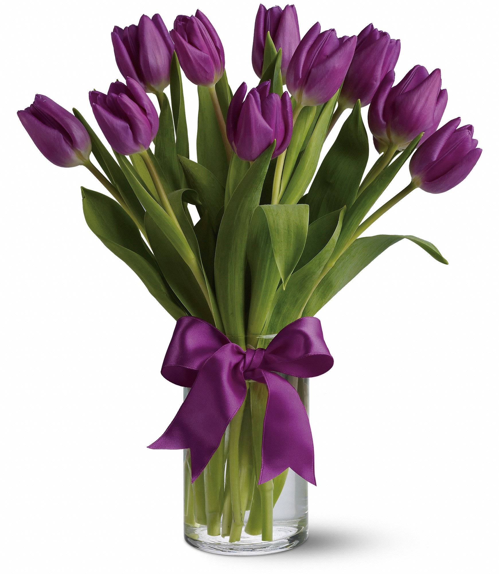 Passionate Purple Tulips Passionate Purple Tulips - For anyone who's passionate about purple, this majestic arrangement of the prettiest purple tulips is, wellâ¦perfect Spring's loveliest and most vibrant purple tulips are delivered in a special vase that's wrapped up with a purple satin ribbon. ( SEASONAL - PLEASE CALL FOR AVAILABILITY)