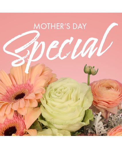 MOTHER'S DAY SPECIAL MOTHER'S DAY SPECIAL - Celebrating a woman who has it all. We’ve made it easy on you with our Mother’s Day Special flower arrangement! Allow us to design a gift that will have her feeling excited about her fresh, new home decor. She’ll feel more appreciated than ever when you give her a beautiful bouquet and a little bit of love!