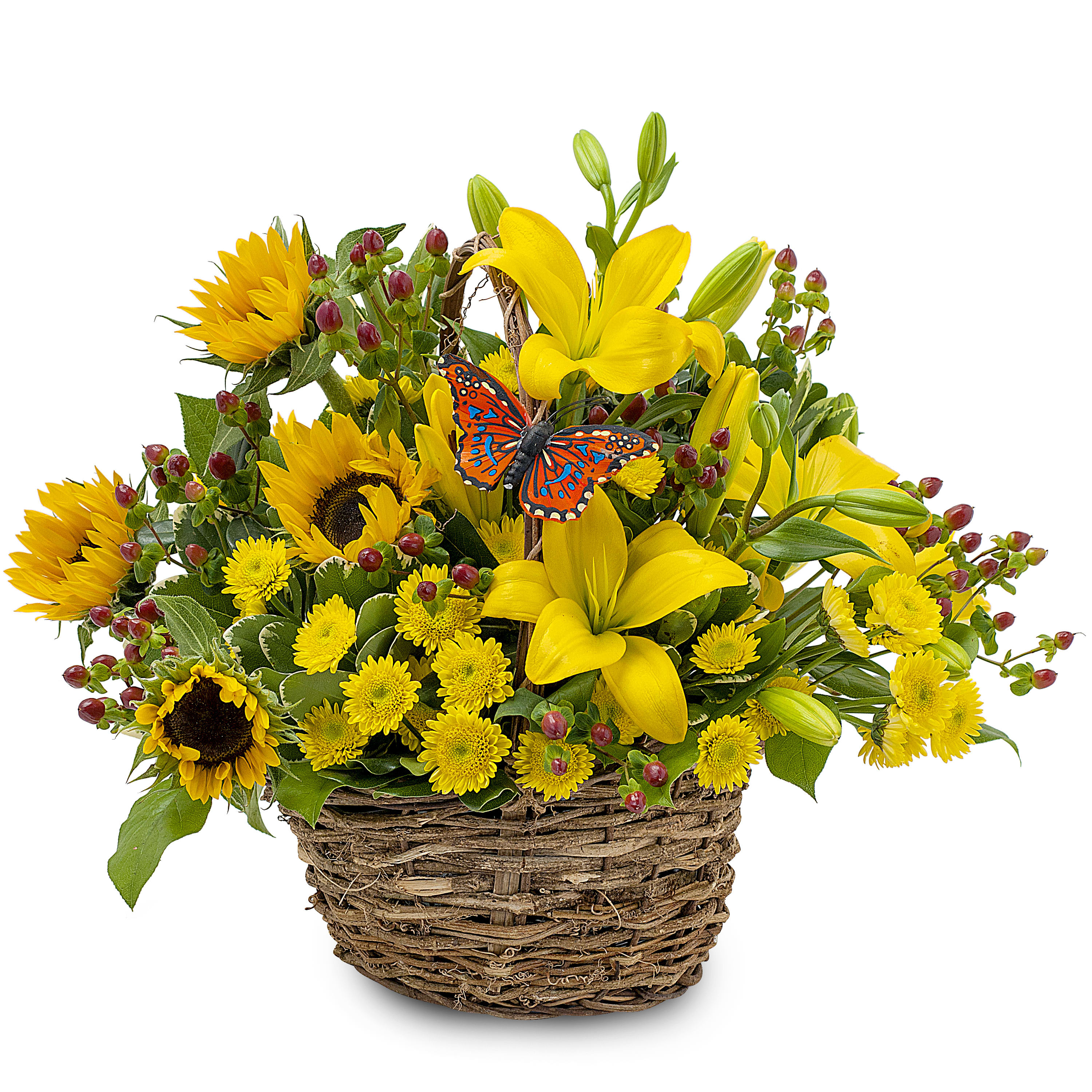Butterfly Rays TMF-317 Butterfly Rays TMF-317 - A basket of nature and sunshine to make someone's day. Approximately 12" W X 9" H