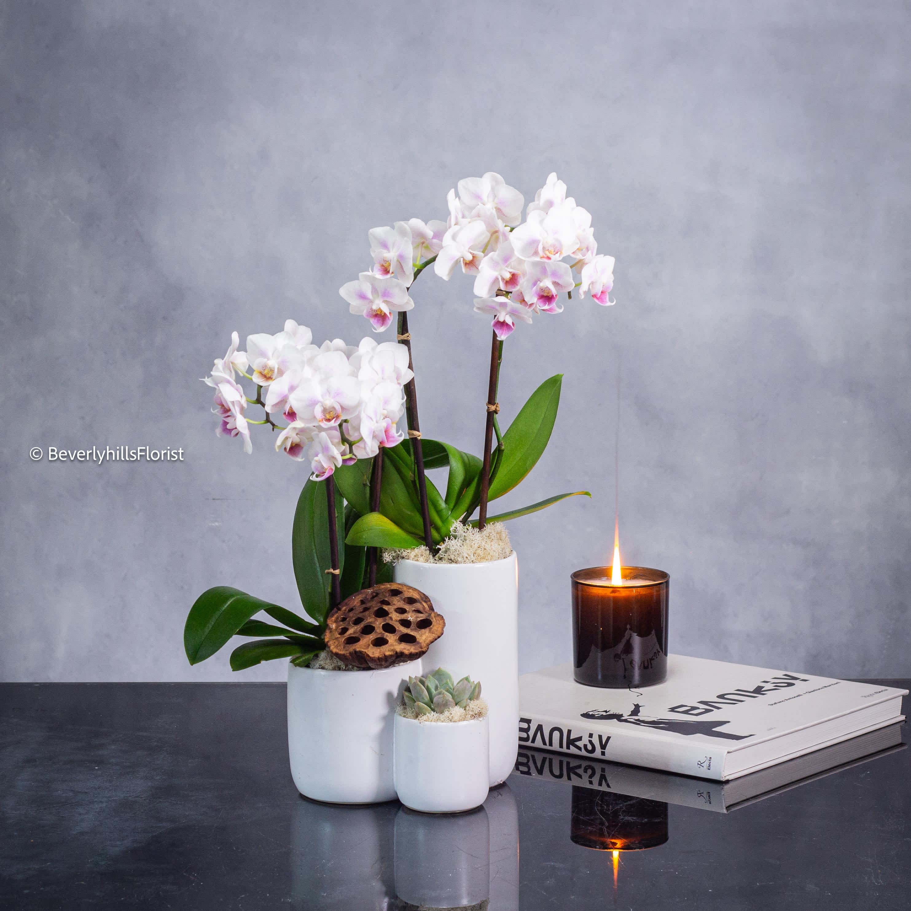 Step by Step  - Step by Step Orchid Arrangement is a sight to behold, nestled within a layered ceramic vase. The orchid's delicate blooms cascade gracefully from one level to the next, creating a stunning visual effect. The sophisticated design exudes a sense of elegance and artistry, making it a captivating centerpiece for any space.