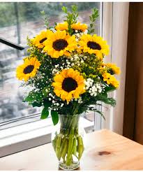 Sunflower Delight Sunflower Delight - Sunflower Delight is a very bright and cheerful arrangement perfect for any occasion. Beautiful for that beautiful someone. Sunflowers arranged in a clear vase with lots of greenery and filler.